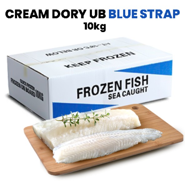 Cream Dory Blue Strap 10kg